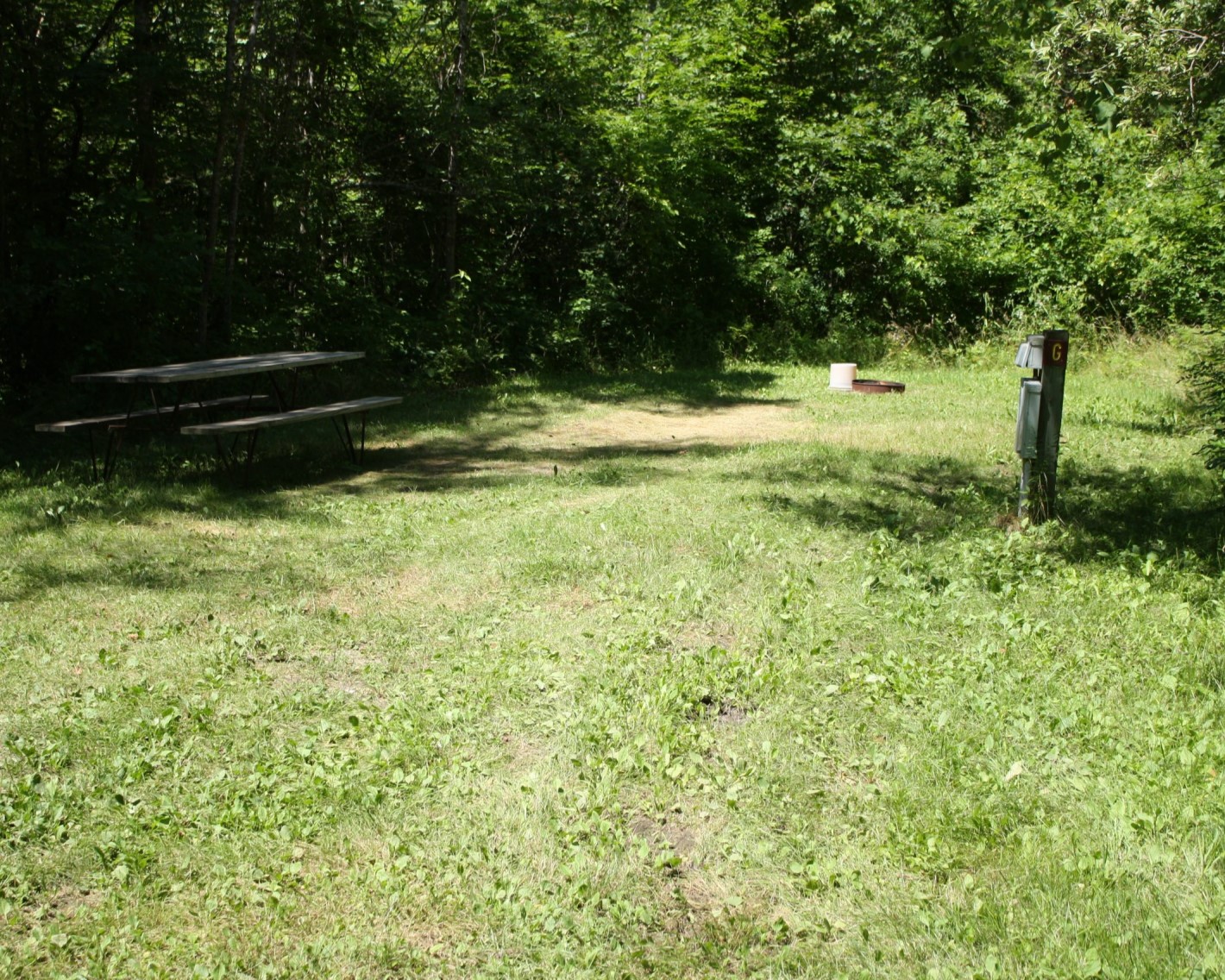 Picture of an grass lot with a picnic table showing where an RV would go.