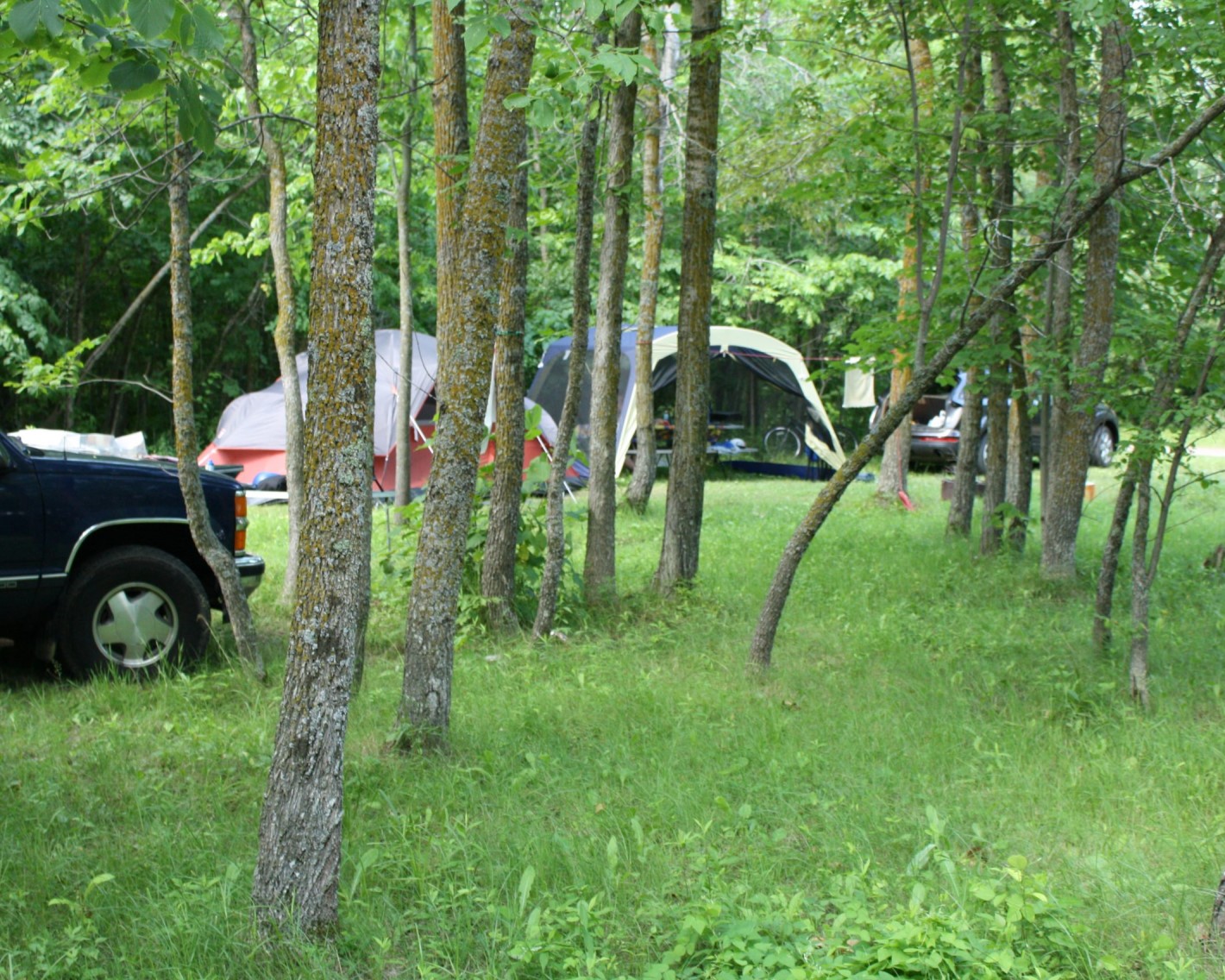 Picture of a Family Camp tent site, showing a car parked on green grass with two tents set up inside